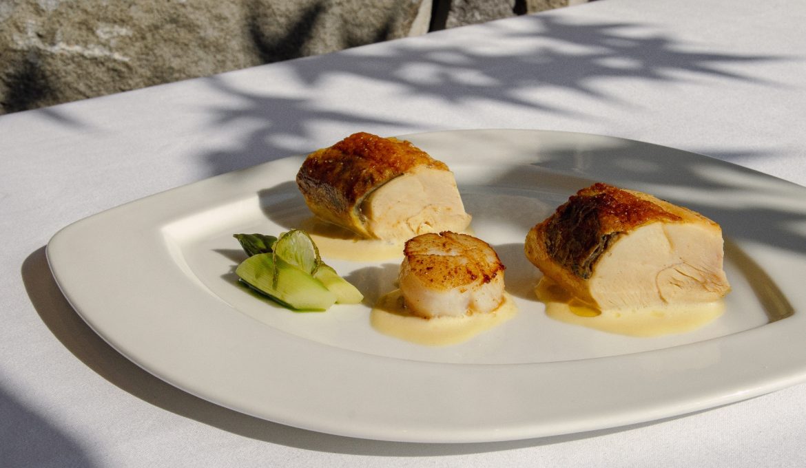 珍珠玉米雞/北海道干貝Chicken Breast/Scallop